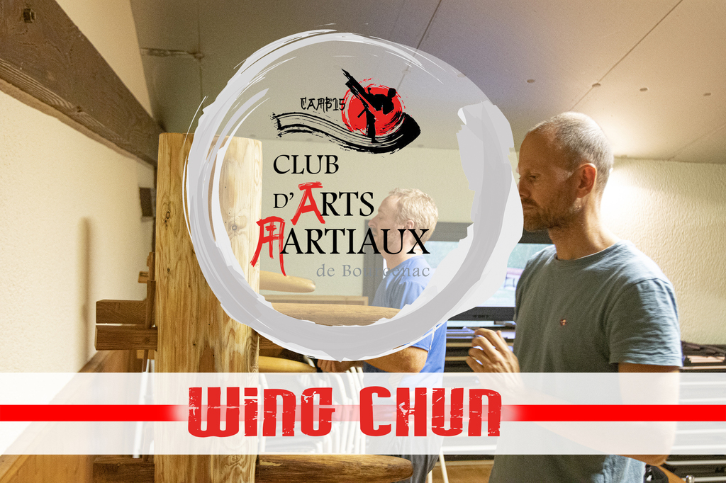 Venez découvrir le Wing Chun à Bourcenac dans la Cantal