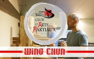 Enchainement Technique de Wing Chun : Pak sao, Bong sao,  tirage bras