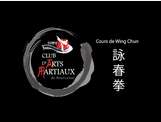 Pratiquer le mannequin de bois en Wing Chun Episode1
